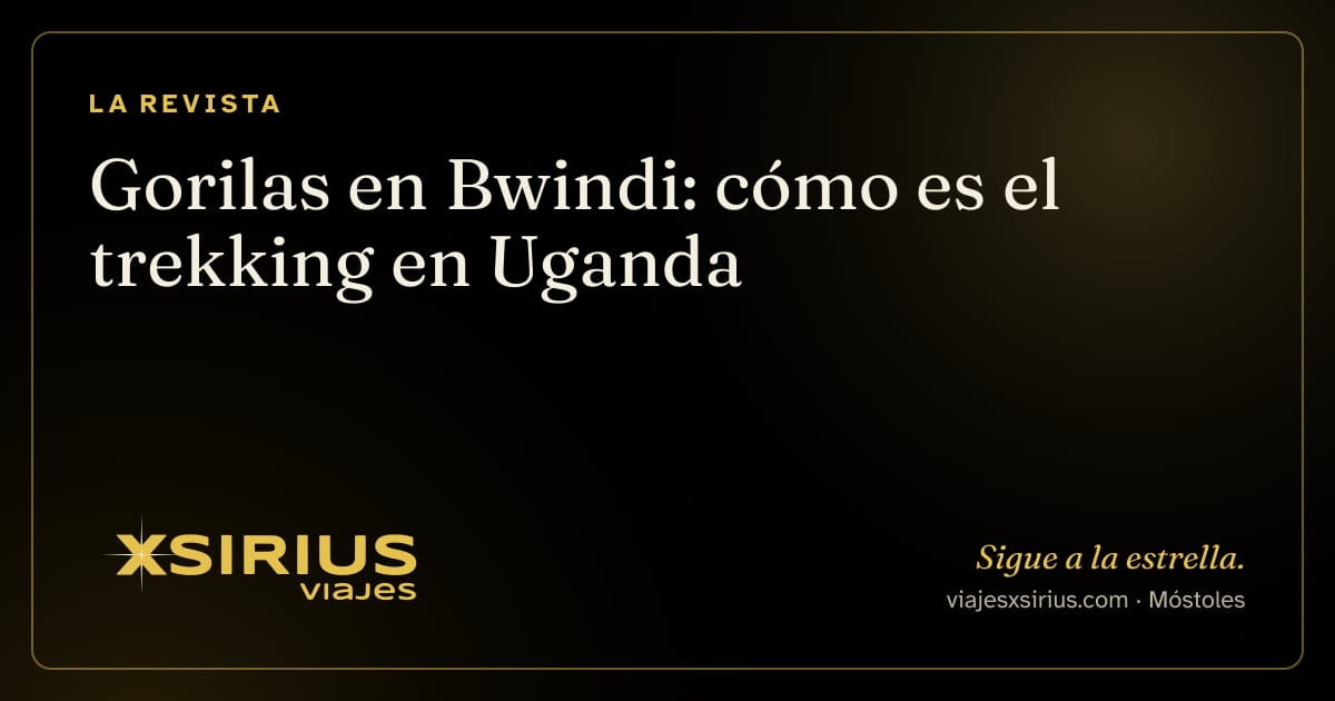 Gorilas en Bwindi: cómo es el trekking en Uganda