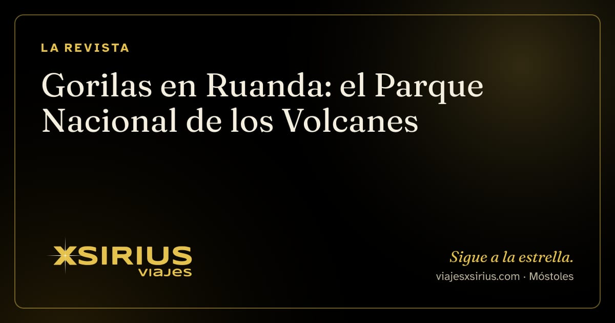 Gorilas en Ruanda: el Parque Nacional de los Volcanes