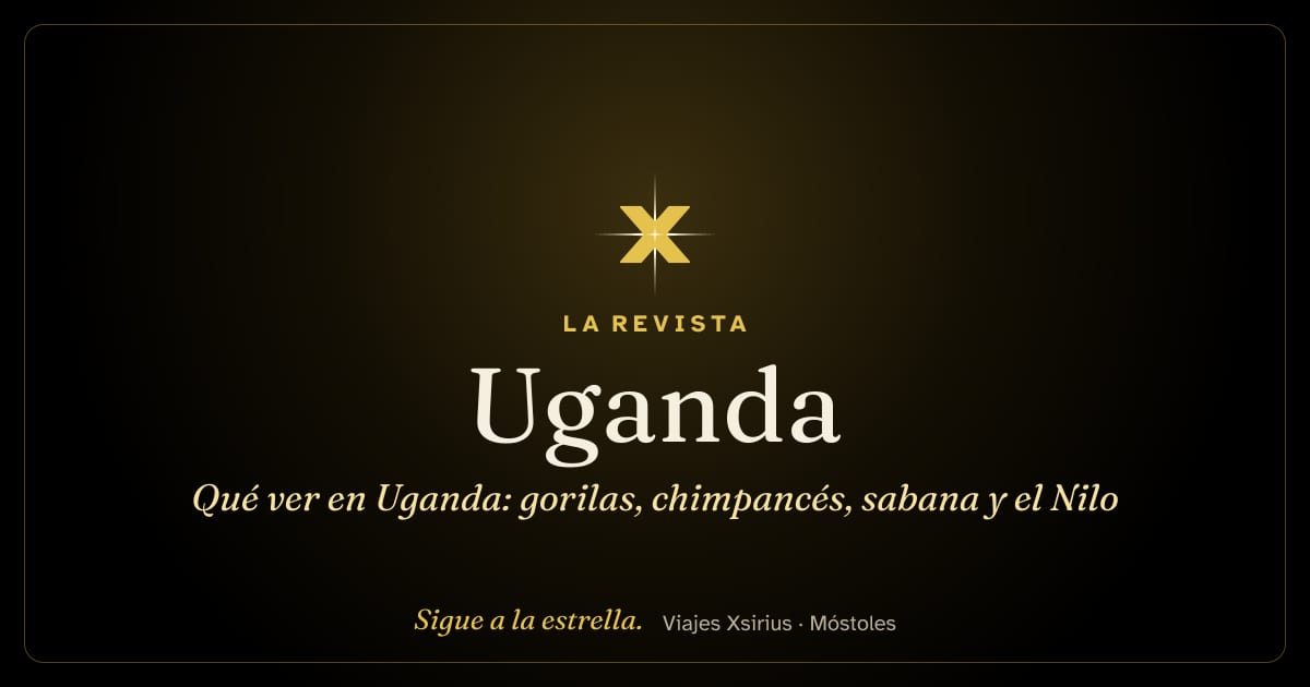Qué ver en Uganda: gorilas, chimpancés, sabana y el Nilo