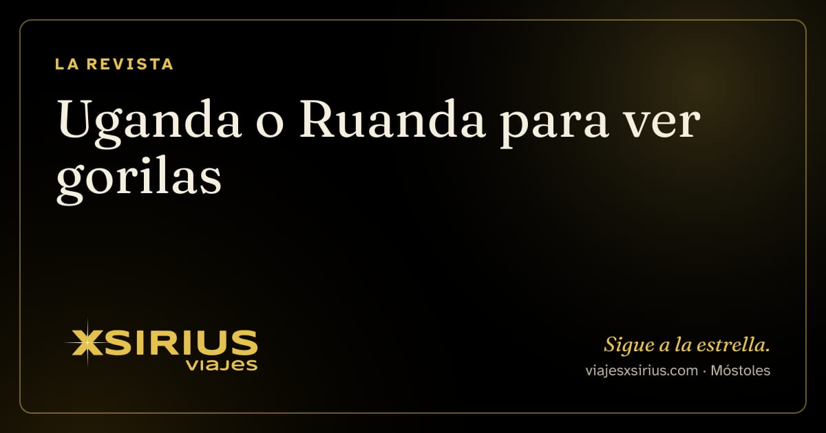 Uganda o Ruanda para ver gorilas
