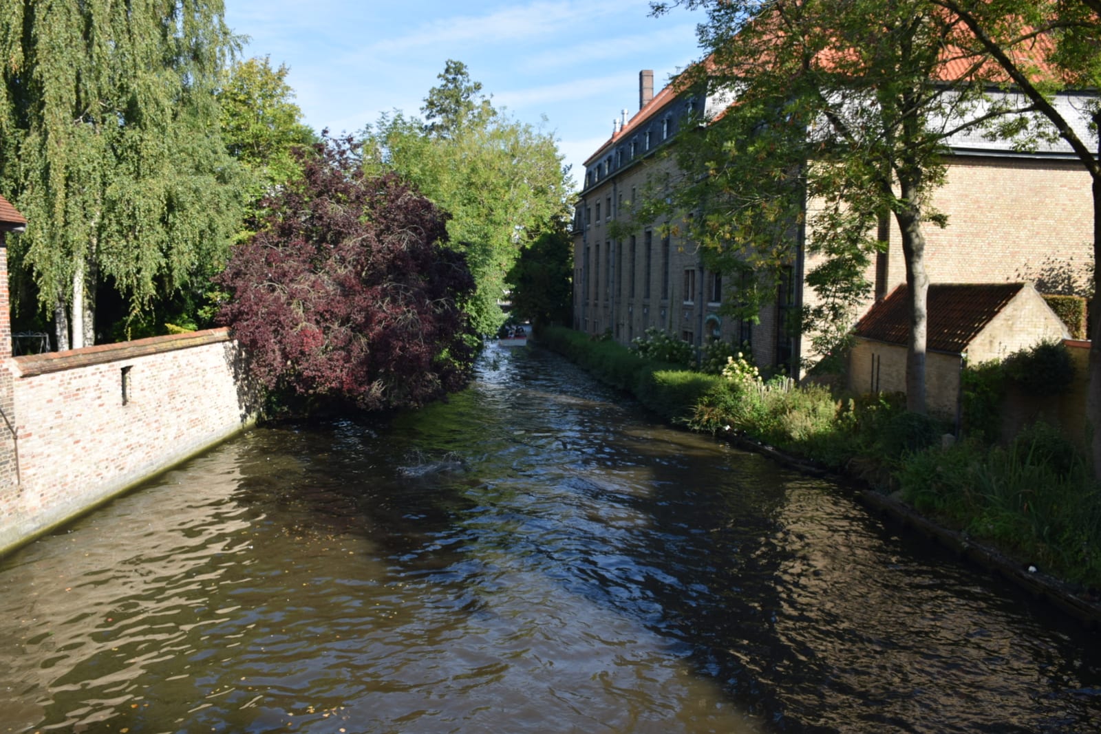 Un canal entre jardines