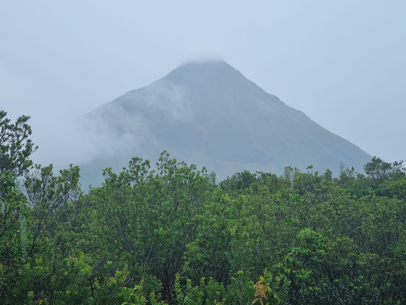 El Arenal, entre la niebla