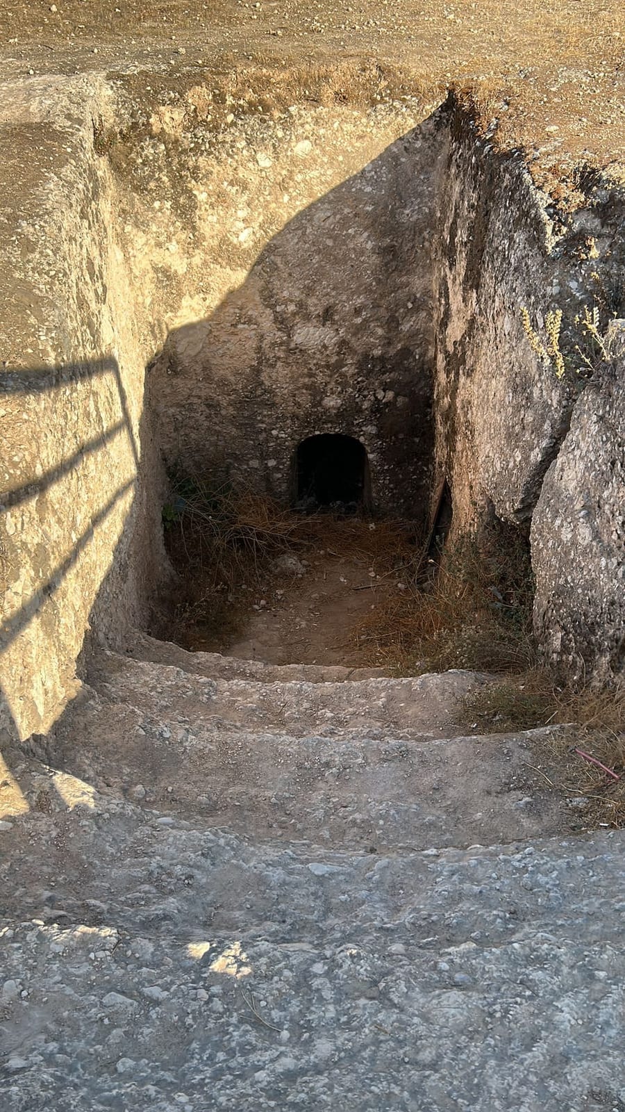 El mercado romano de Jerash, a contraluz