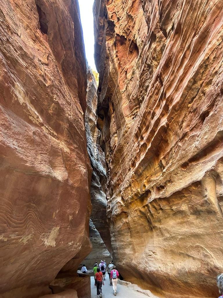 El Tesoro de Petra, con los camellos