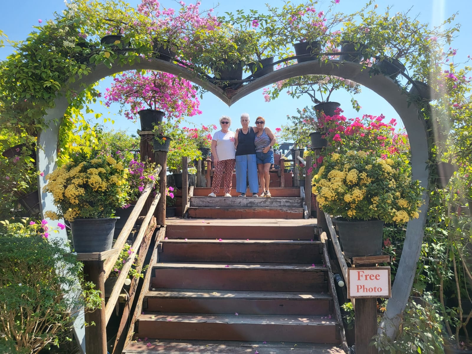 Un arco de flores en el camino