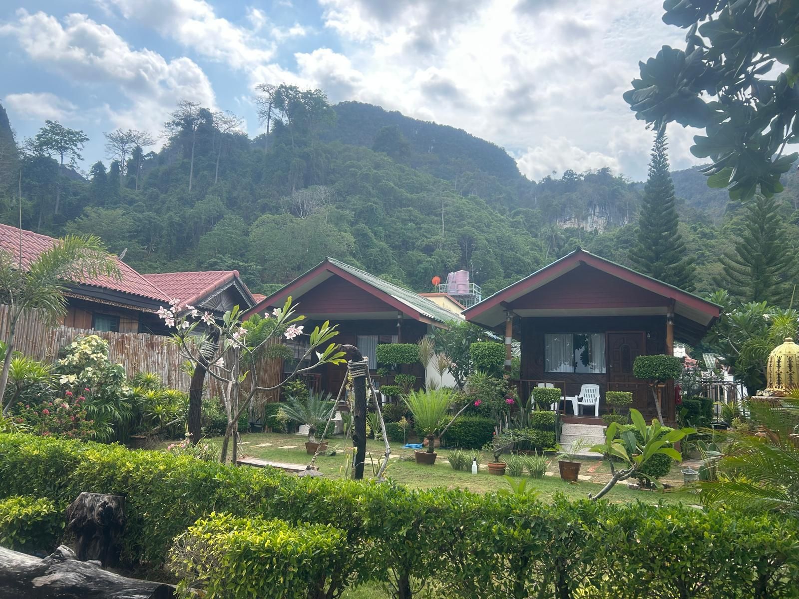 Bungalós entre la selva